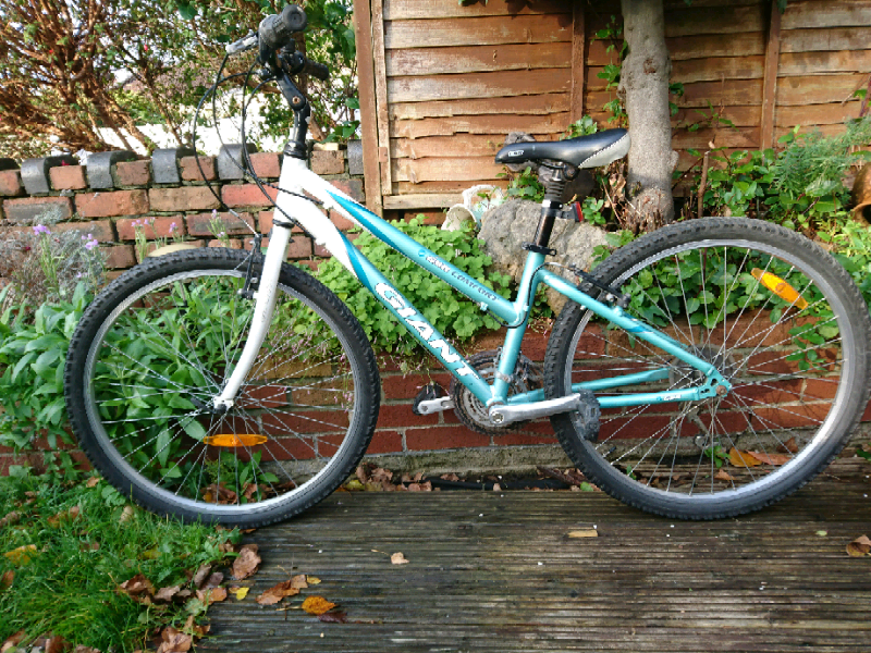 giant gsr comfort